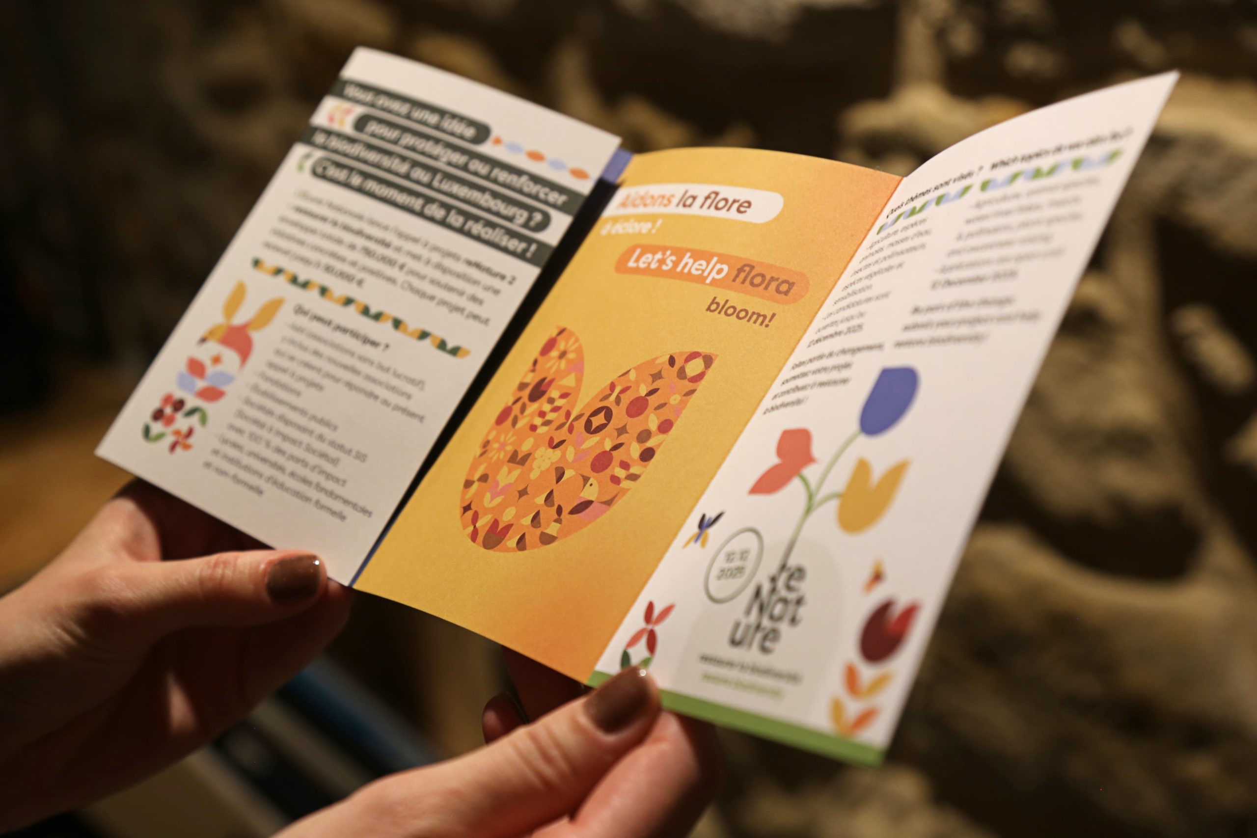 Brochure ReNature ouverte, montrant des illustrations colorées et du texte bilingue sur la protection de la flore.