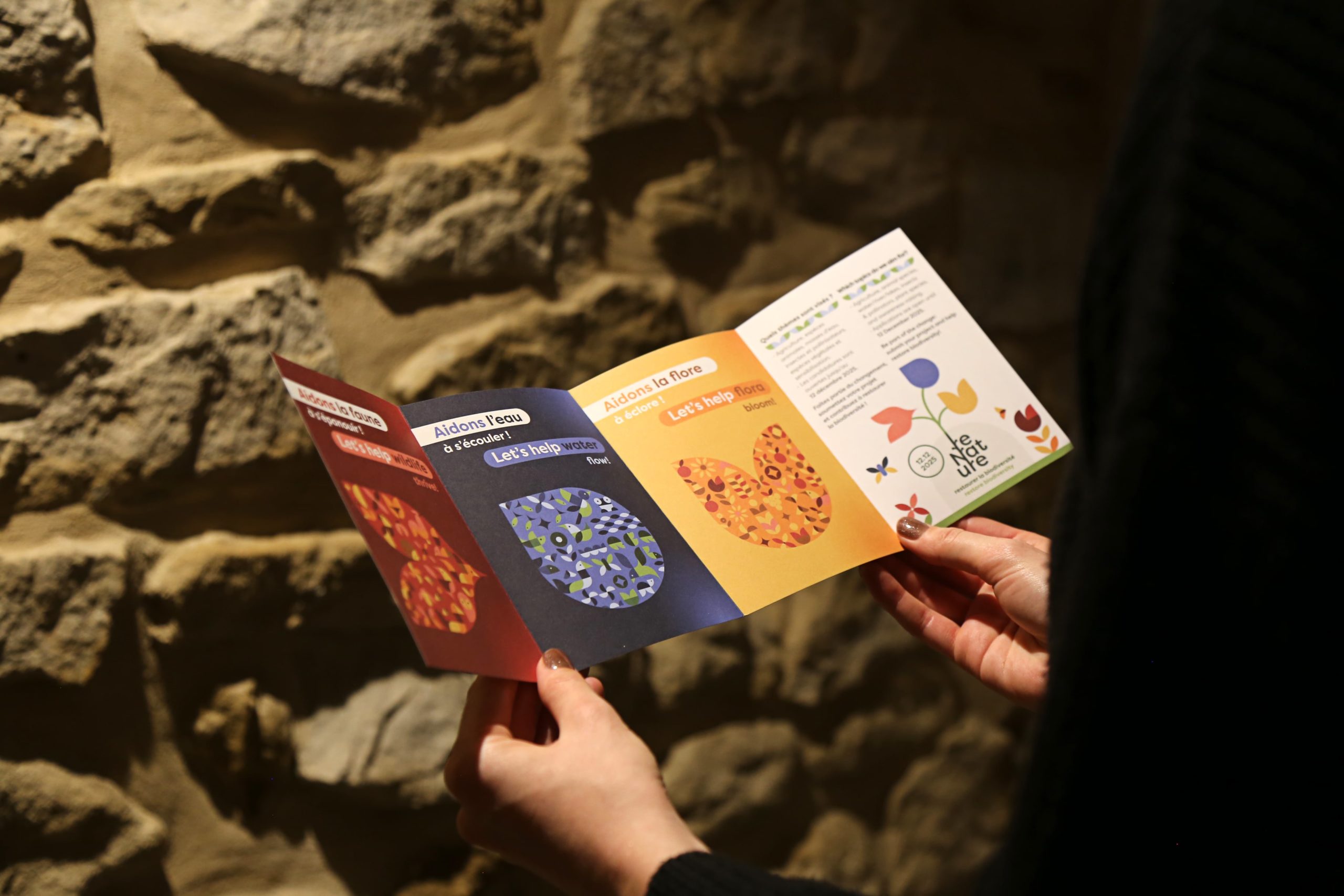 Brochure ReNature dépliée, affichant des pages illustrées dédiées à la biodiversité, tenue entre deux mains devant un mur en pierre.