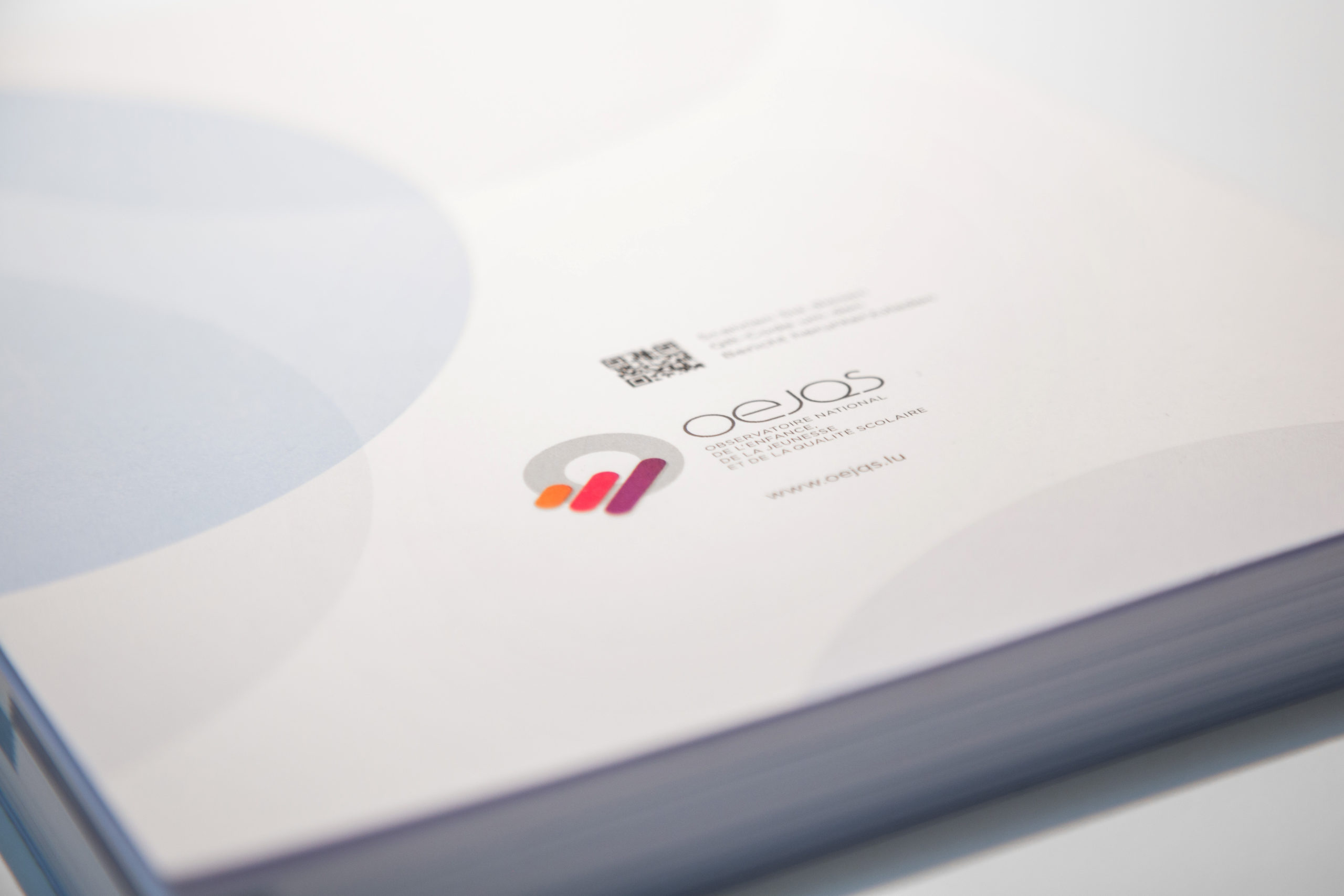 Comprendre pour agir : la mission de l’OEJQS - Photo