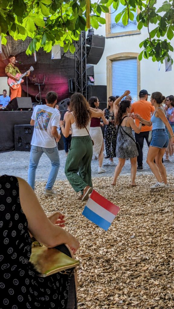 Schéinen Nationalfeierdag  - Photo