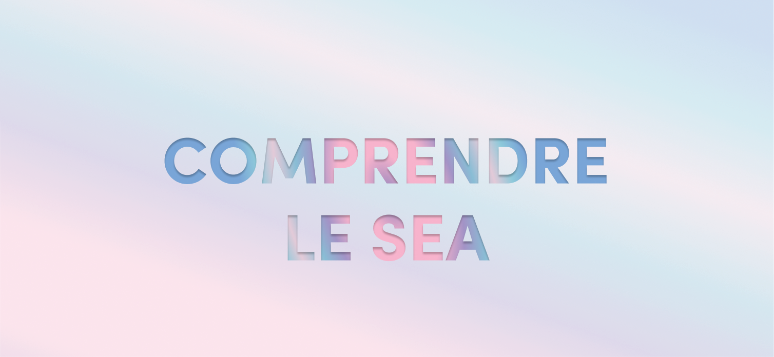 vignette article : "comprendre le SEA"