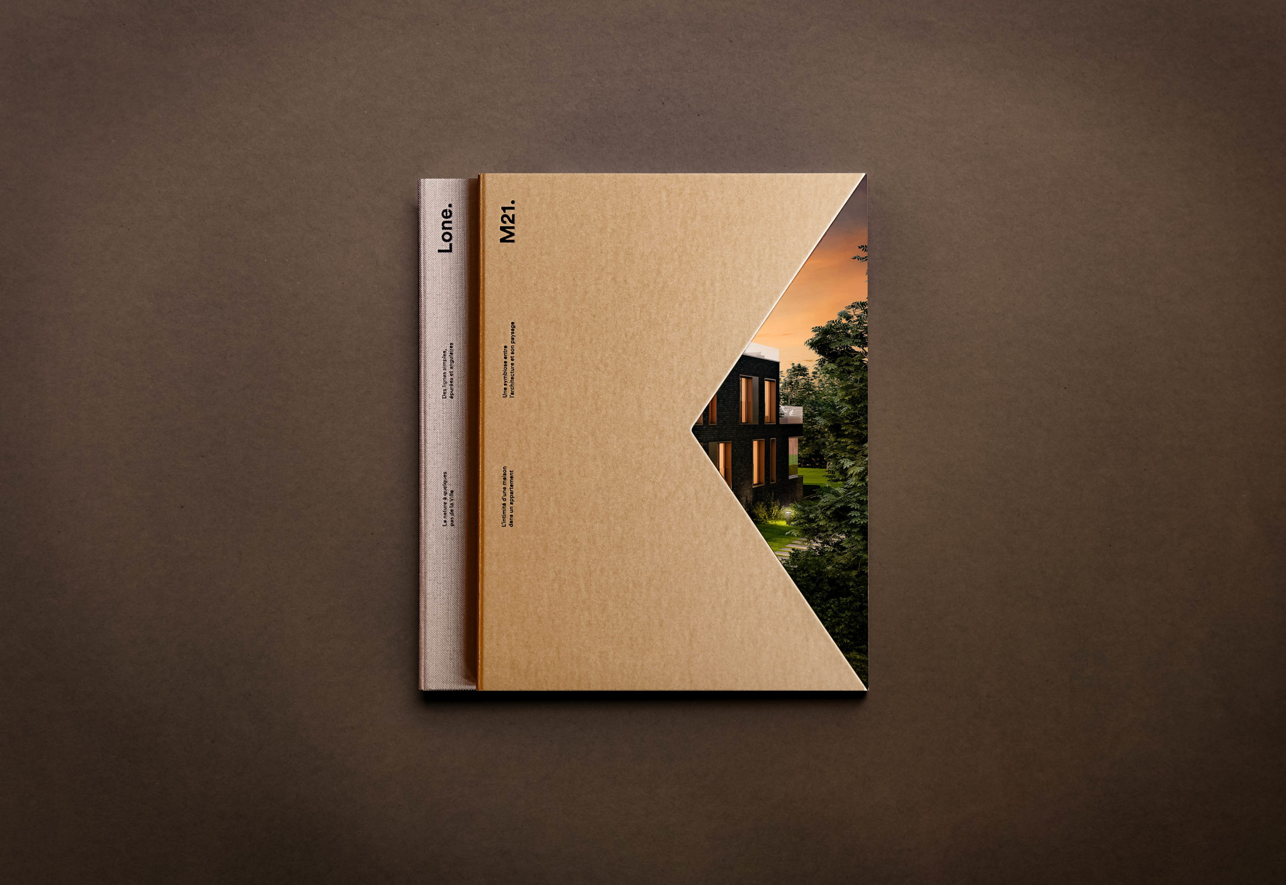 Couverture de la plaquette Koba « Lone. M21 », tranche beige sur fond brun