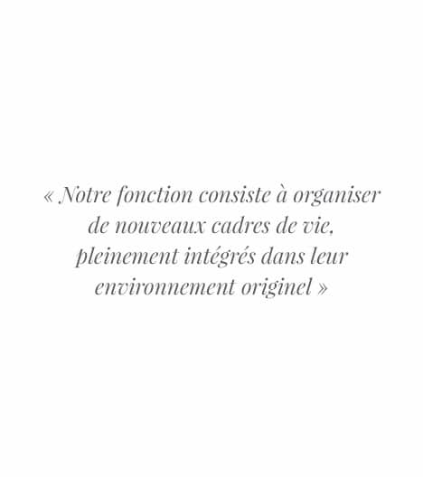 Groupe Schroeder Immobilier - Site internet - Photo