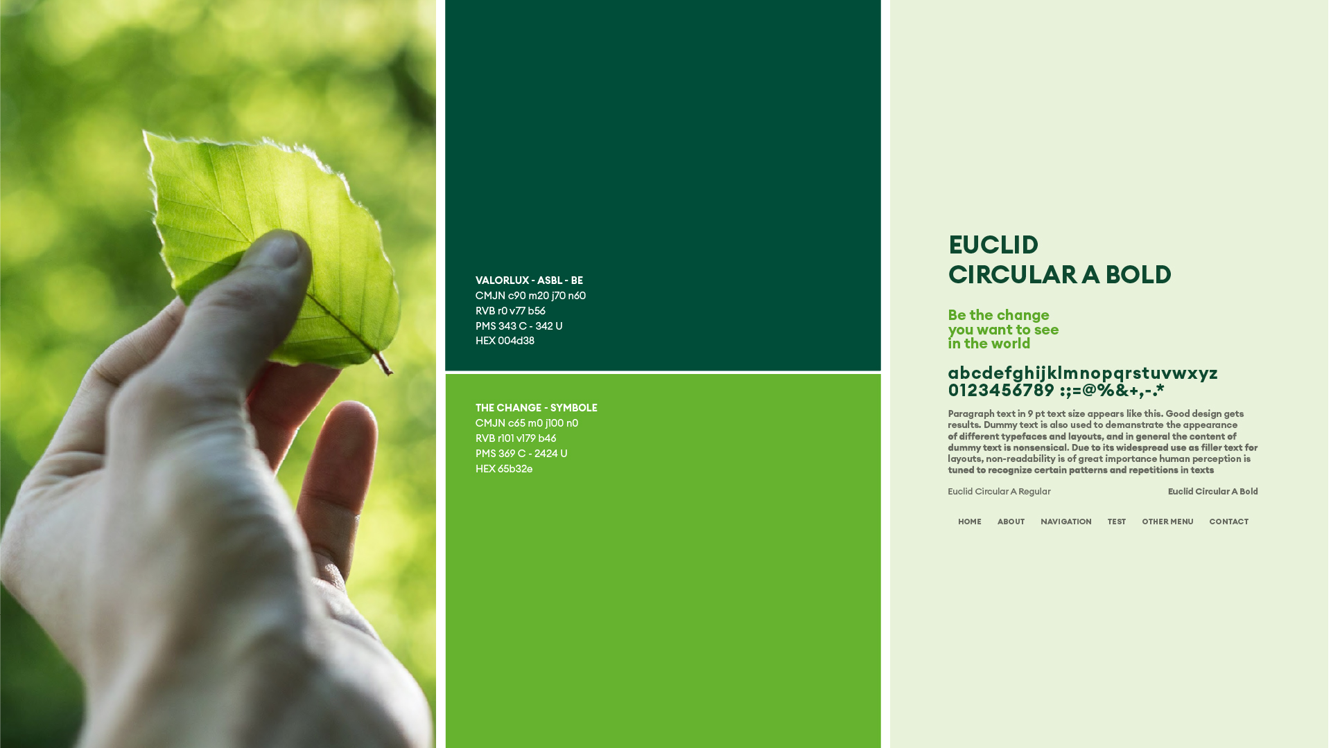 Identité visuelle Valorlux avec codes couleurs verts de la marque et spécifications de la police Euclid Circular A Bold.