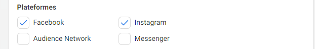 Interface Google Ads affichant les options de plateformes : Facebook, Instagram, Audience Network et Messenger.