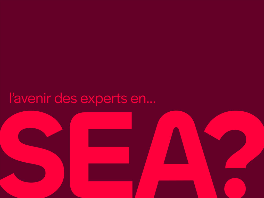 Experts SEA : vers quel avenir ? - Photo
