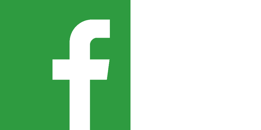 logo facebook "vert"