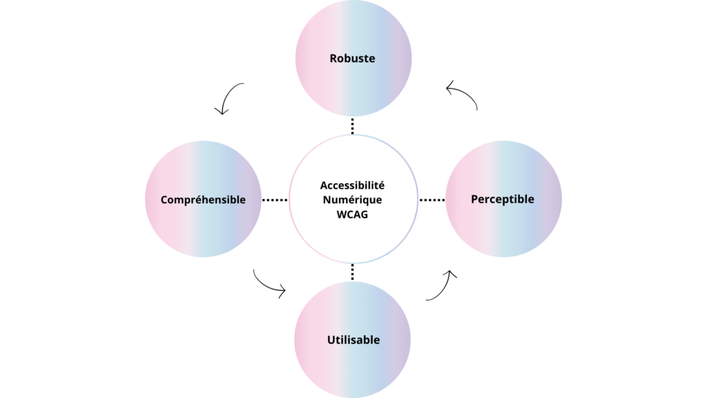 Schéma illustrant les principes de l'accessibilité numérique selon les WCAG, avec un cercle central relié à quatre axes : perceptible, utilisable, compréhensible et robuste. Principes des nouveautés de l'accessibilité numérique à respecter pour sa conformité
