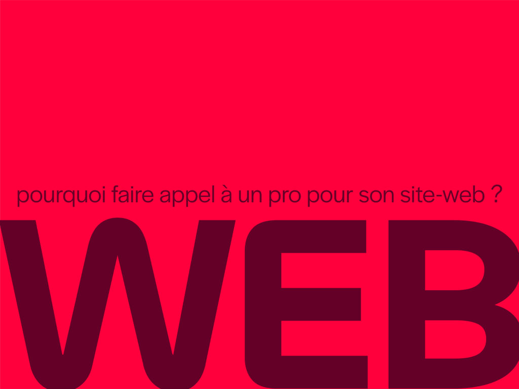 Création de site web : pourquoi faire appel à un professionnel ? - Photo