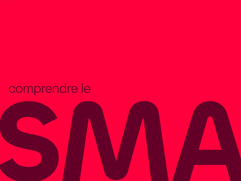 Campagnes publicitaires sur les réseaux sociaux (SMA) : comment ça marche ? - Photo