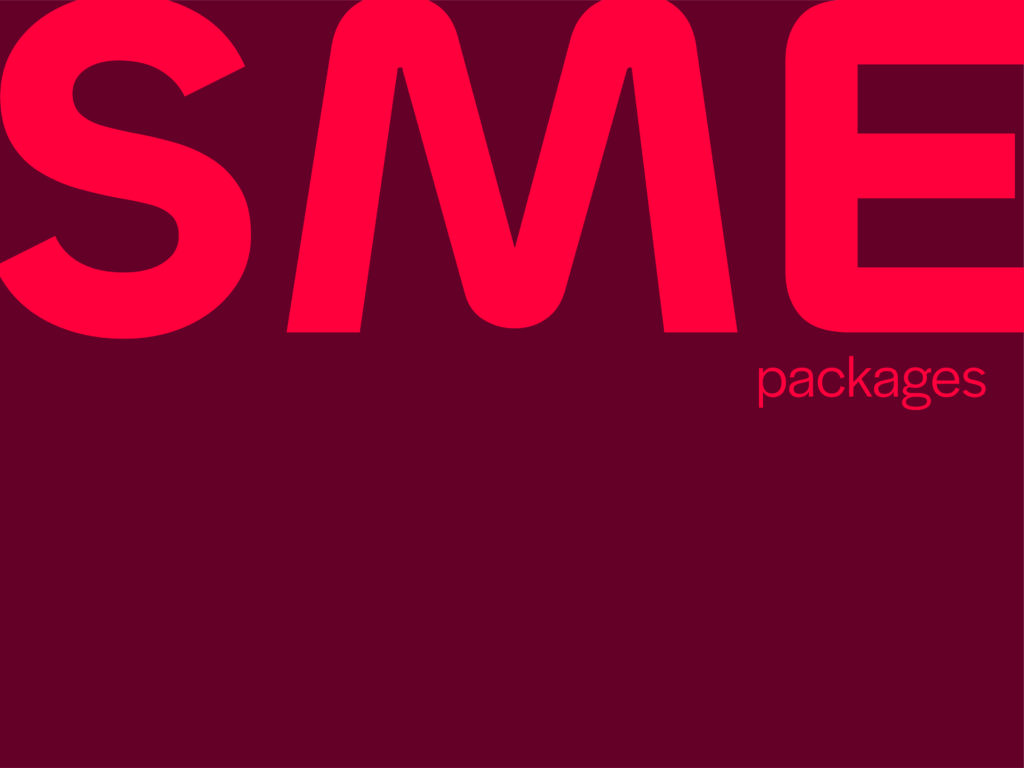 SME Packages Luxembourg : votre projet de digitalisation financé à 70% - Photo