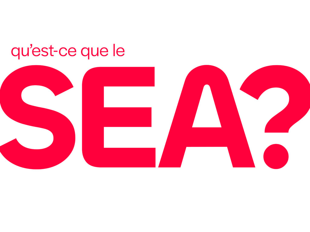 Qu'est-ce que le SEA ? Guide et retour d'expérience - Photo