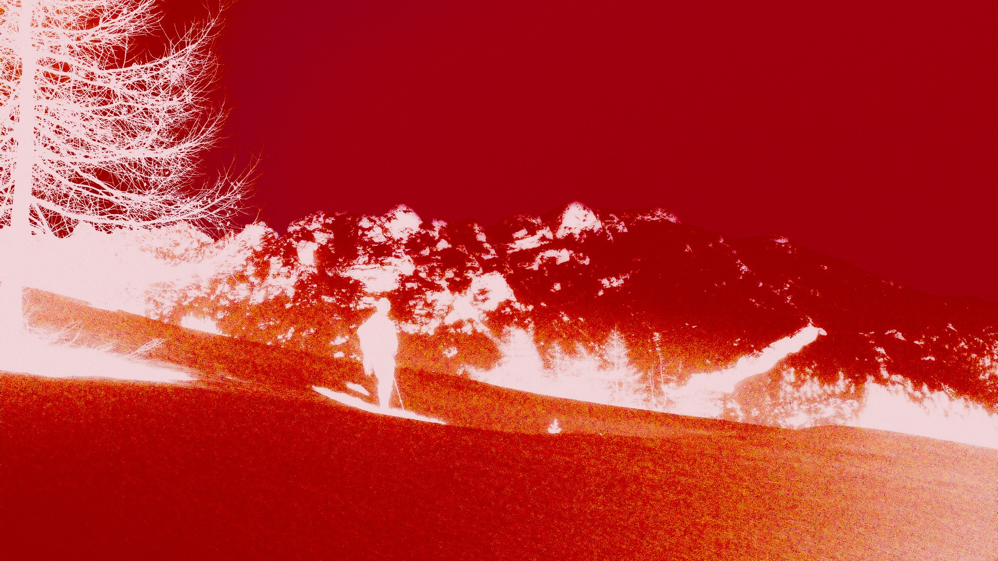 Altitude - Photo
