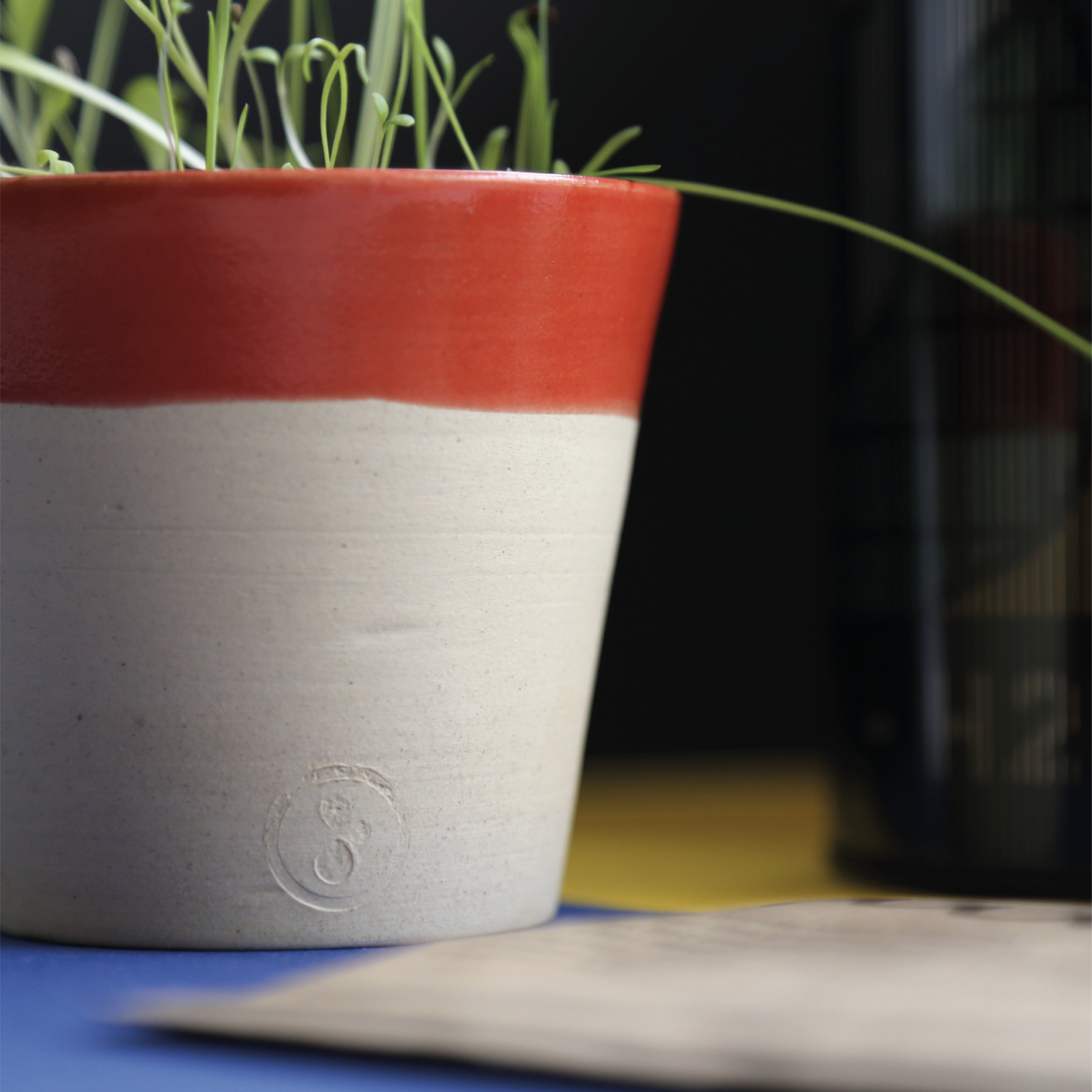 Petit pot en céramique bicolore rouge et blanc émaillé contenant de jeunes pousses vertes.